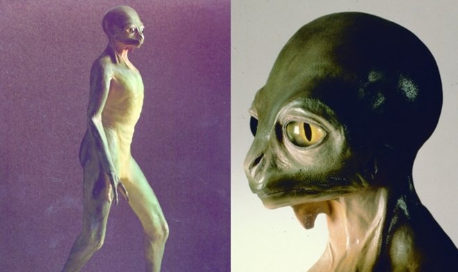 Как выглядели бы современные динозавры, если бы не вымерли в далекой древности