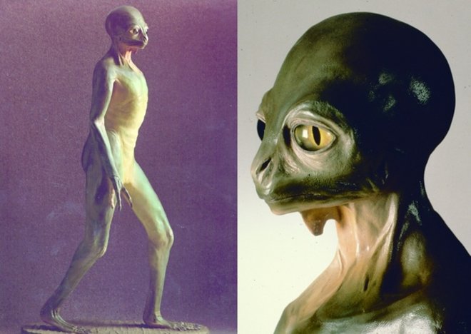 Как выглядели бы современные динозавры, если бы не вымерли в далекой древности