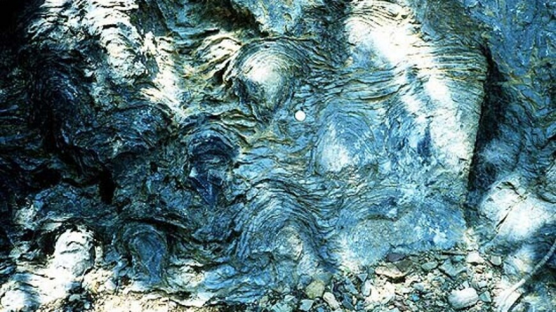 Следы древнейших форм жизни на Земле нашли в отложениях Западной Австралии