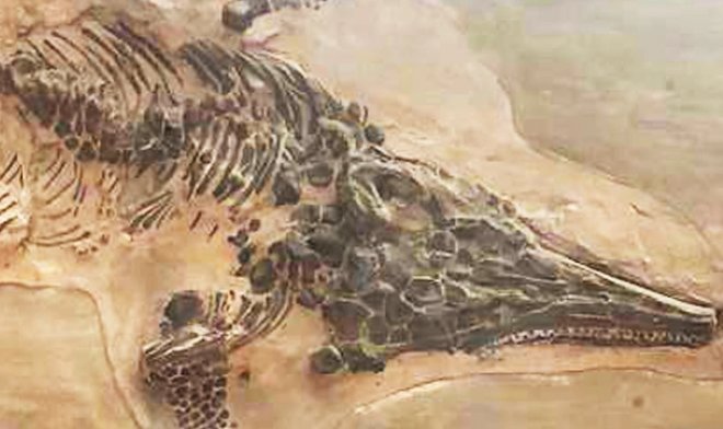 Ученые нашли две копии скелета знаменитого &laquo;рыбоящера&raquo;, который был уничтожен нацистами 