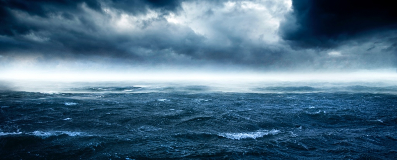 Ученые обнаружили свидетельства первого массового вымирания животных на Земле