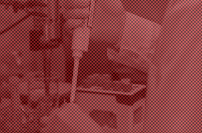 Учёные выявили у летучих мышей пять новых вирусов, способных передаваться человеку