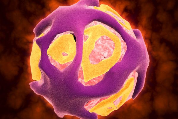 Вирусологи реанимировали семь древних вирусов из сибирской вечной мерзлоты