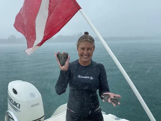 Дайверы нашли древний зуб мегалодона с отметинами от укусов