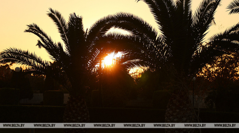 Ученые открыли более 140 новых видов животных, растений и грибов в 2022 году