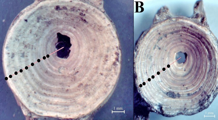 Ученые создали устройство, которое видит светящуюся &laquo;ауру&raquo; растений