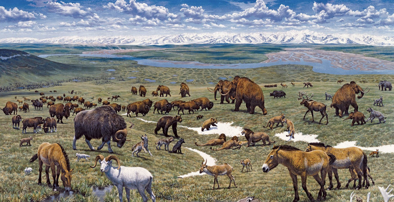 Возрождение древних животных — насколько это реально и чем может обернуться