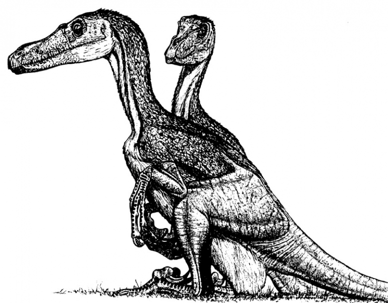 Как синозавроптерикс изменил наши представления о динозаврах