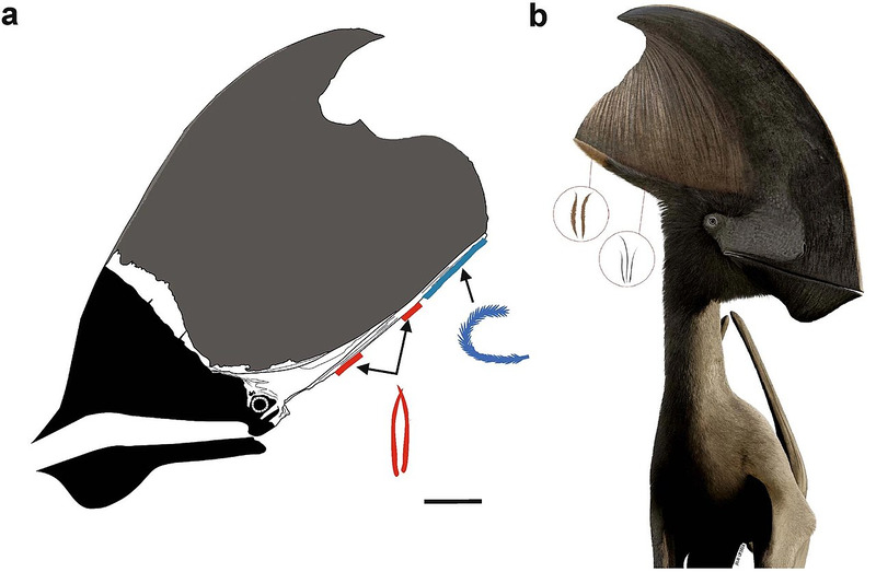 Как синозавроптерикс изменил наши представления о динозаврах