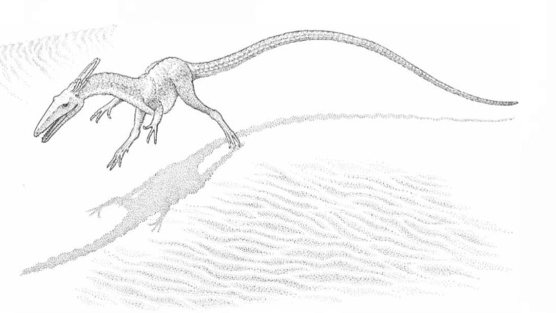 Как синозавроптерикс изменил наши представления о динозаврах