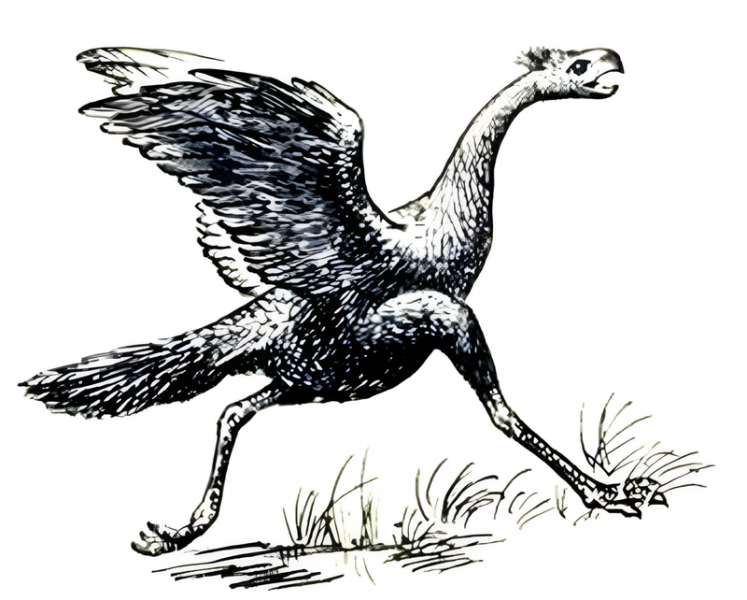 Как синозавроптерикс изменил наши представления о динозаврах