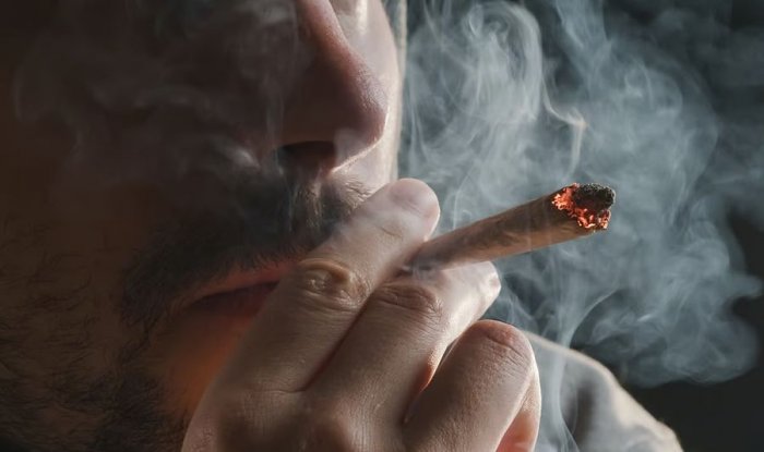 Регулярное употребление марихуаны повышает риск сердечных заболеваний на 34%