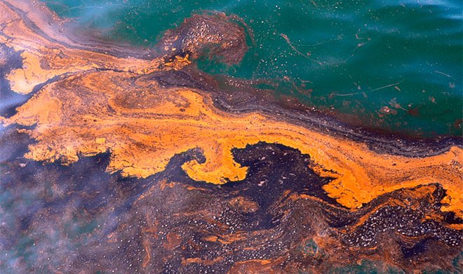 Российские ученые создали вещество, ликвидирующее морские нефтяные разливы 