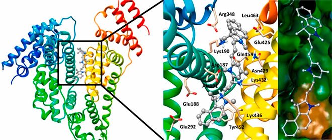 Российскими химиками предложен новый флуоресцентный маркер &mdash; краситель для медицины 