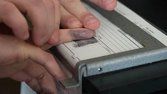 Стало известно, как формируются уникальные отпечатки наших пальцев