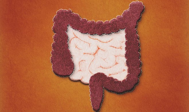 Ученые предупреждают: микрофлора человеческого тела вымирает &mdash; и это несет большие проблемы 