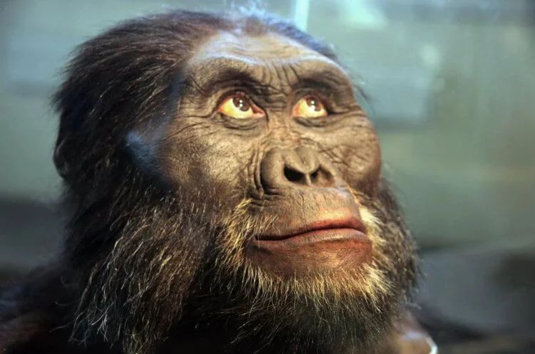 Почему у людей не растет шерсть &mdash; самые популярные гипотезы