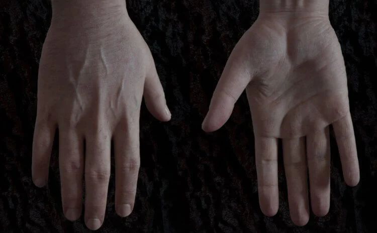 Почему у людей не растет шерсть &mdash; самые популярные гипотезы