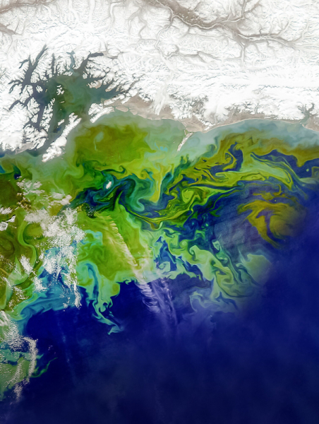 Спутники показали &laquo;световое шоу&raquo; в прибрежных районах Земли