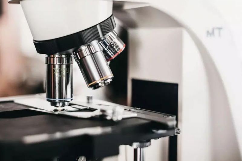 Учёные: микробы могут предотвратить конфликты по всему миру