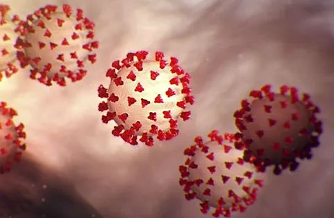 Вирус из&nbsp;вечной мерзлоты возрастом почти 50&nbsp;тысяч лет оказался опасен для человека