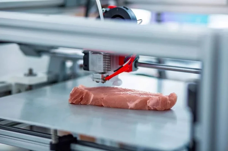 3D-печать рыбы: новый шаг в развитии искусственного мяса от компании Stakeholder Foods