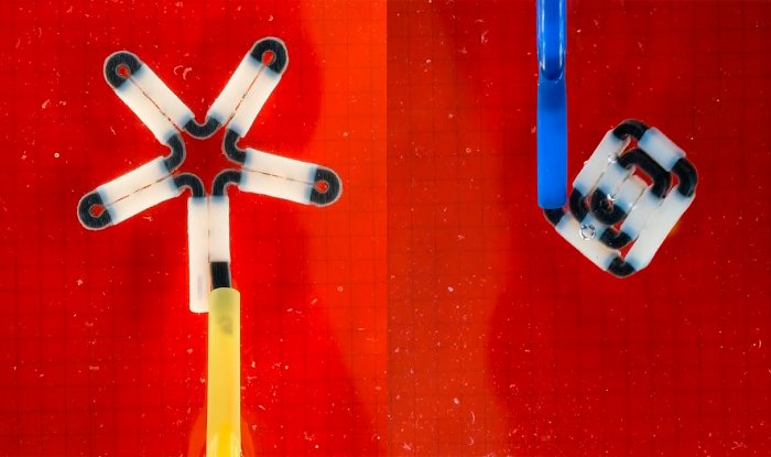 Хирургический инструмент MaSoChain примет нужную форму внутри тела пациента