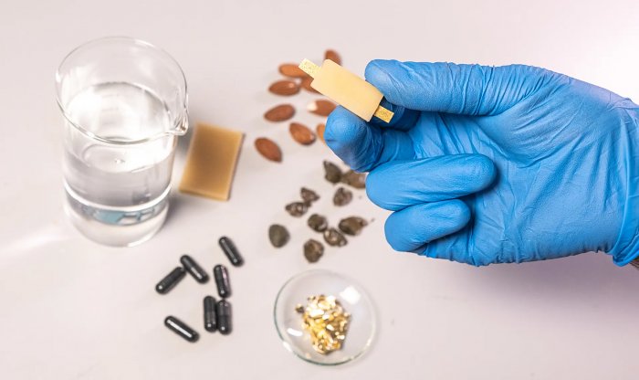 Итальянские ученые создали безопасную батарейку, которую можно съесть