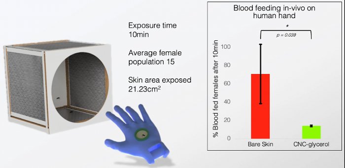 Израильские ученые разработали защитный нано-спрей против комаров на основе целлюлозы