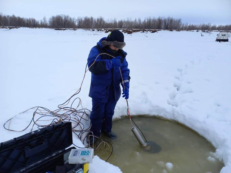 Российские экологи предупредили о загрязнении Оби в связи с глобальным потеплением