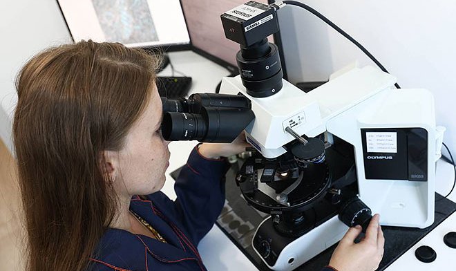 Российские ученые объявили об обнаружении нового вида древнейших бактерий