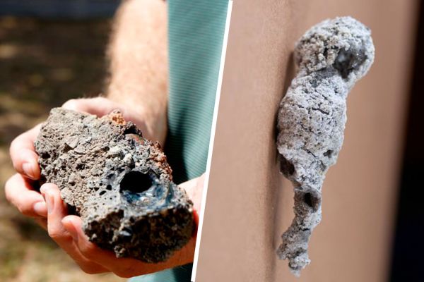 Удар молнии в дерево образовал &laquo;космический&raquo; фосфит