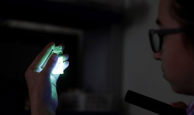 В РФ разработали вещество для создания органических светодиодов со 100% энергоэффективностью