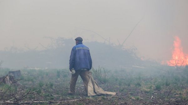 Природные пожары охватили три региона Урала. Что известно на данный момент
