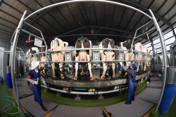 Приведет ли искусственный интеллект к исчезновению человечества? Апокалиптические предсказания его разработчиков