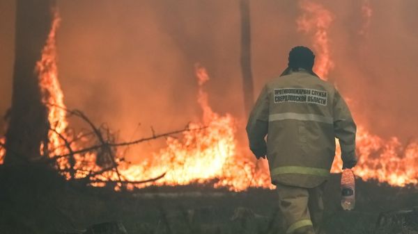 Природные пожары охватили три региона Урала. Что известно на данный момент