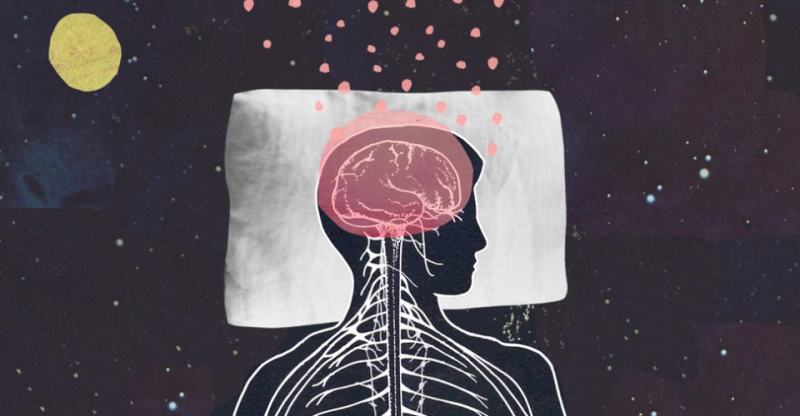 Нейробиологи создали видео из снов: что это значит для науки и обычных людей?