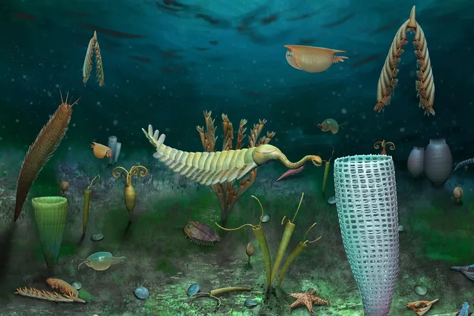 Открыт удивительно хорошо сохранившийся «морской карликовый мир» 462 млн лет назад в Уэльсе!