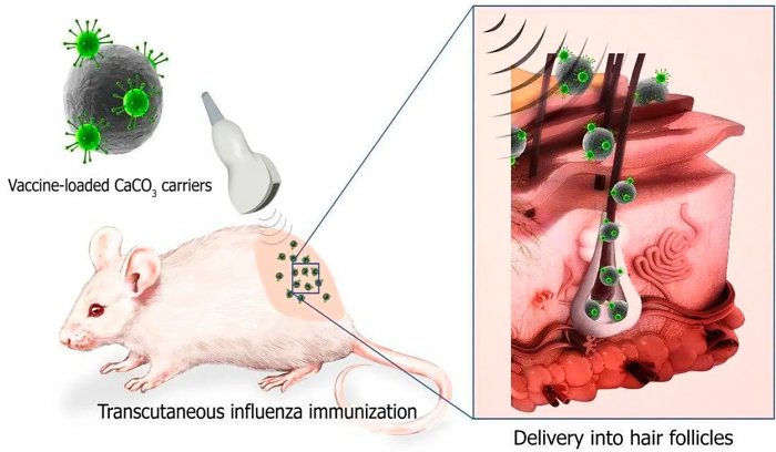 Российскими учеными разработана новая методика введения вакцин