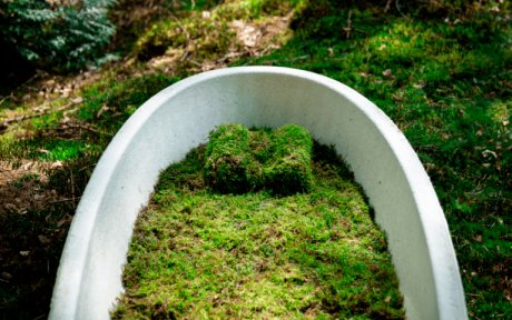 Саркофаги из грибов станут экологичной альтернативой деревянным гробам