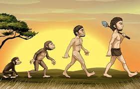 Урбанизация становится движущей силой эволюции на Земле: исследование ученых из Университета Торонто