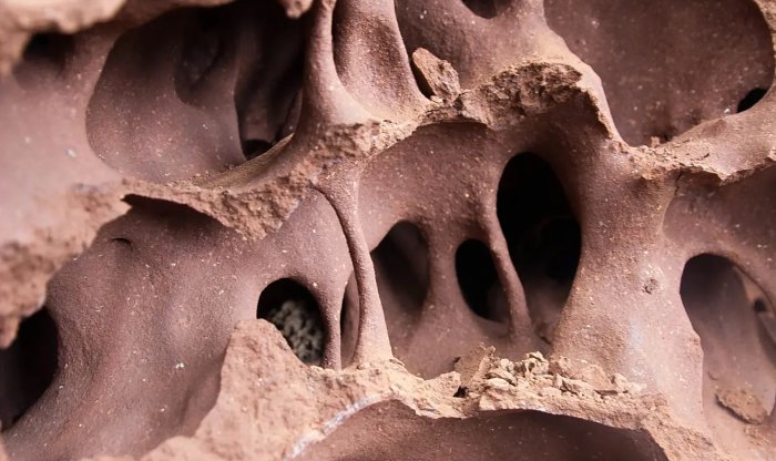 Устройство термитника подсказало идею регуляции климата в домах без затрат энергии