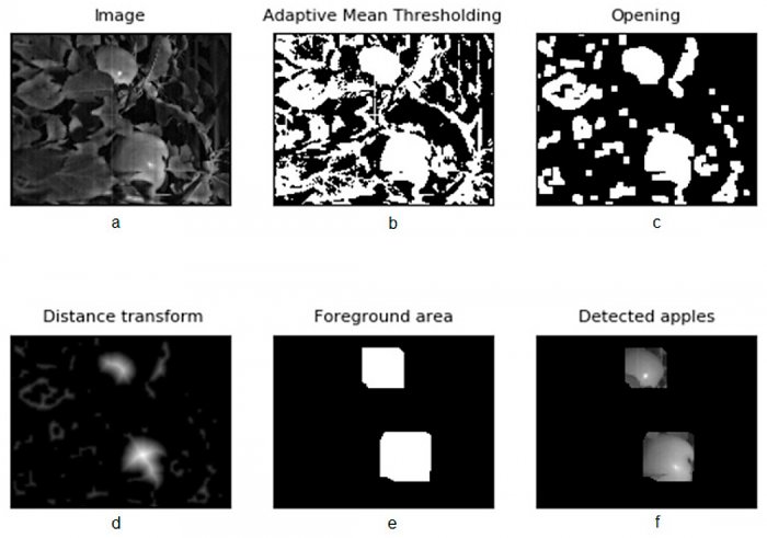 В России появился колесный робот для контроля за урожаем