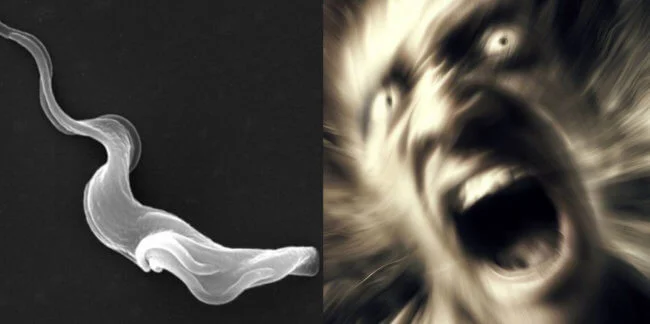 Болезнь, превращающая людей в зверей