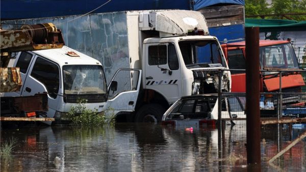 Необратимые изменения. Какими будут экологические последствия разрушения плотины Каховской ГЭС