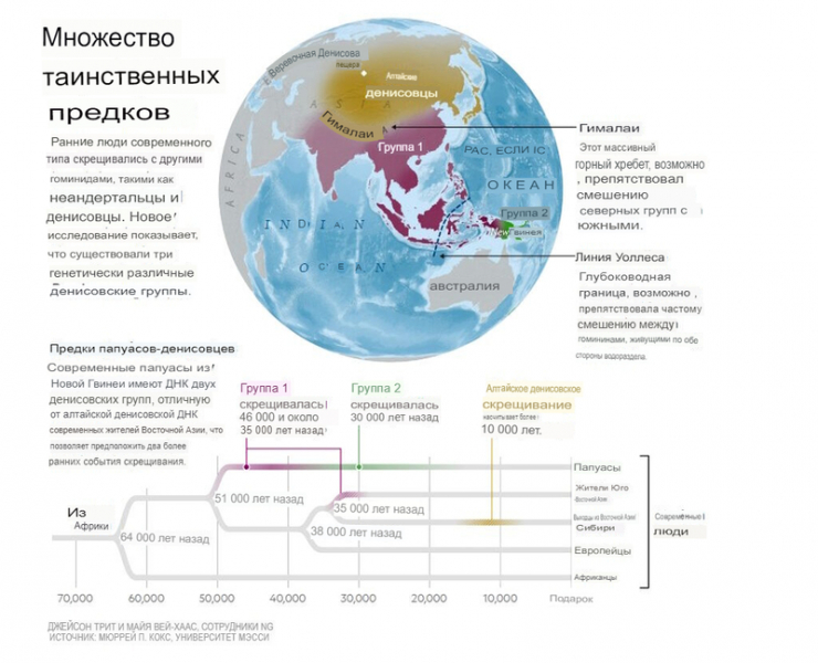 Многочисленные линии загадочных древних людей скрещивались с нами