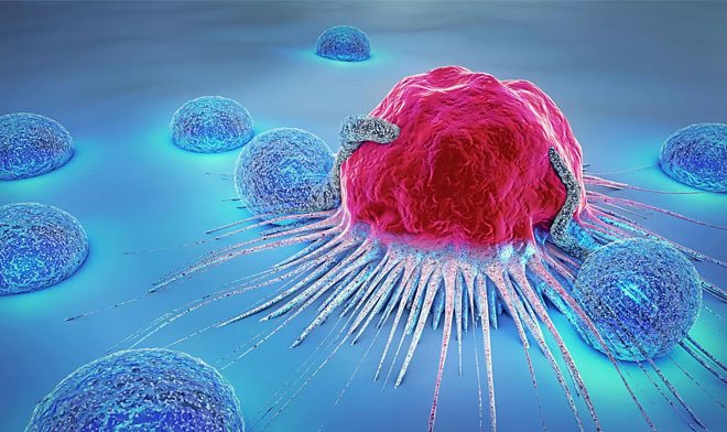 В СПбПУ разработали аппарат для лечения опухолей ультразвуком