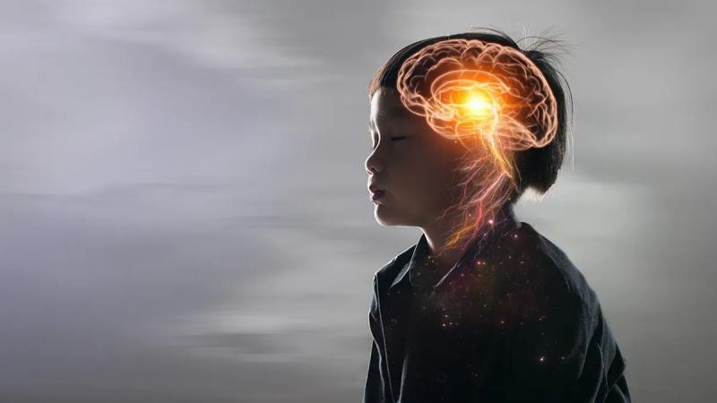 Нейробиолог проиграл 25-летнее пари с философом о сознании