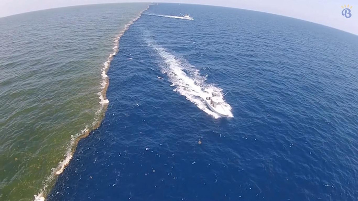 Правда ли, что не смешиваются воды Тихого и Атлантического океанов?