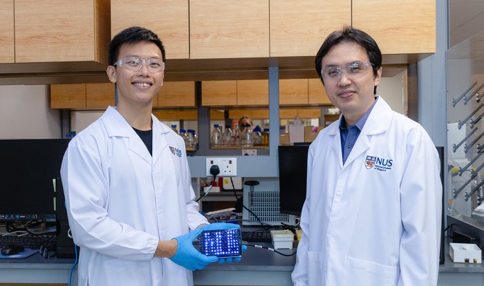 Ученые нашли способ сохранять данные в&nbsp;ДНК живых бактерий